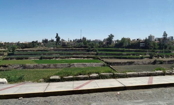 Arequipa cultures