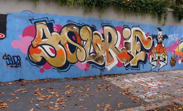 3510 rue henri Nogueres 75019 Paris