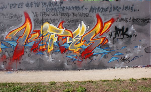 1863 parc des Cormailles 94200 Ivry sur seine