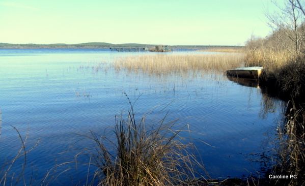 lac-059.jpg