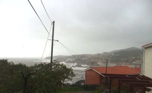 Copie-de-S7305329.JPG