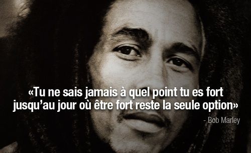 Citation du jour nadegemambe Actualité Insolite du Web Citation du jour nadegemambe Actualité Insolite du Web