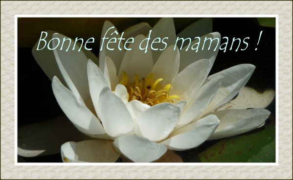 bonne-fete-des-mamans.jpg