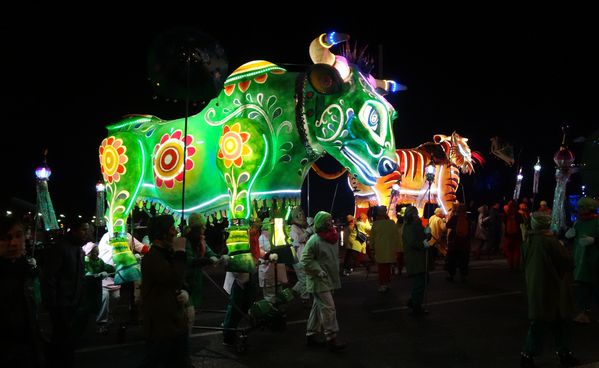 Fête des Lumières 2012 quais de Saône animaux