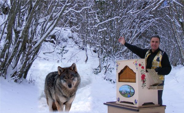 Orgue-neige-blog.jpg