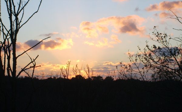 coucher