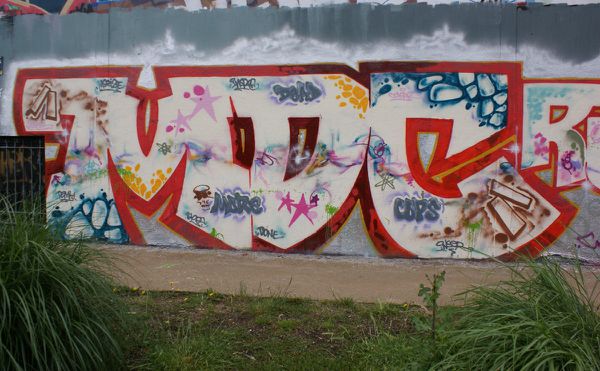 2010 parc des Cormailles 94200 Ivry sur seine