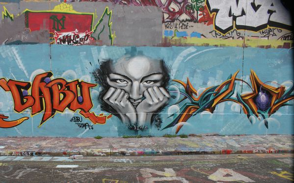 6228 rue des Pyrenees 06 novembre 2011