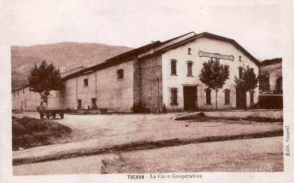 coope-tuchan-000.jpg