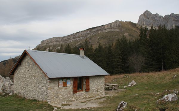 121124 Col Vert 008