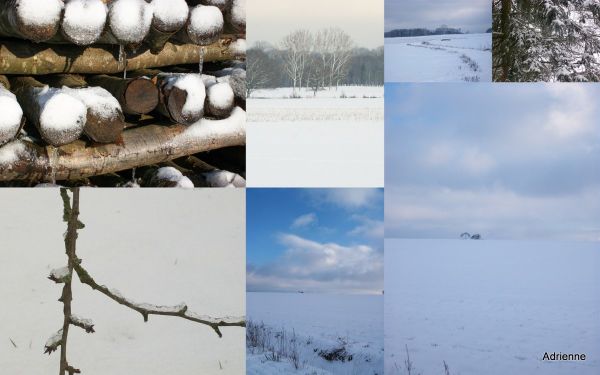 Neige 30-31 janvier1