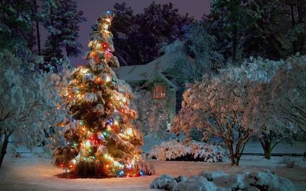 HD-Beautiful-Christmas-Tree-Decorated-Wallpapers-Photos-3-.jpeg