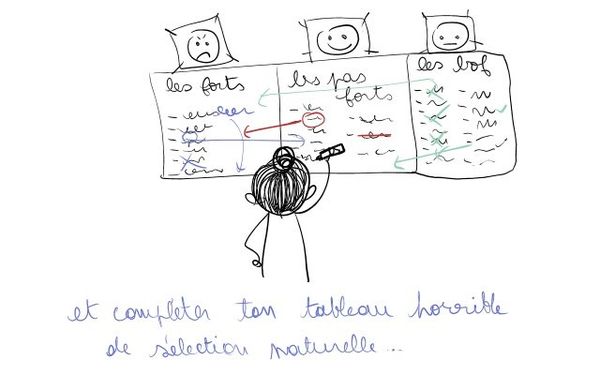 bilan7.jpg