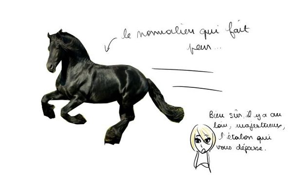 bilan994.jpg