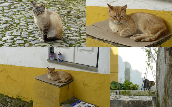 2010-03-14 obidos portugal 201017