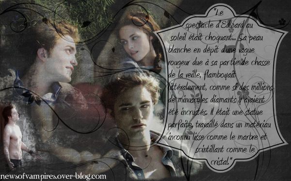 WallpaperNewsofvampiresTwilight004