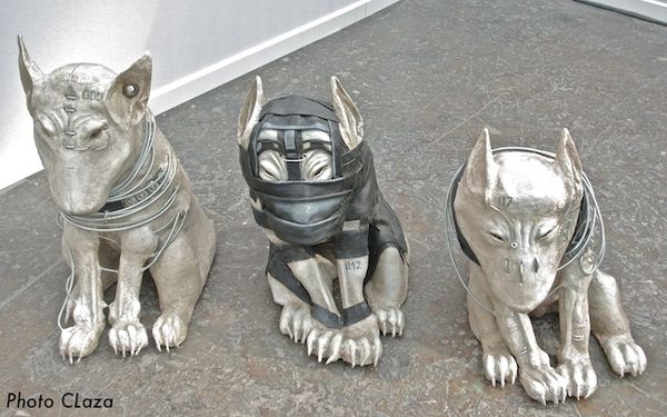 enfermement chiens