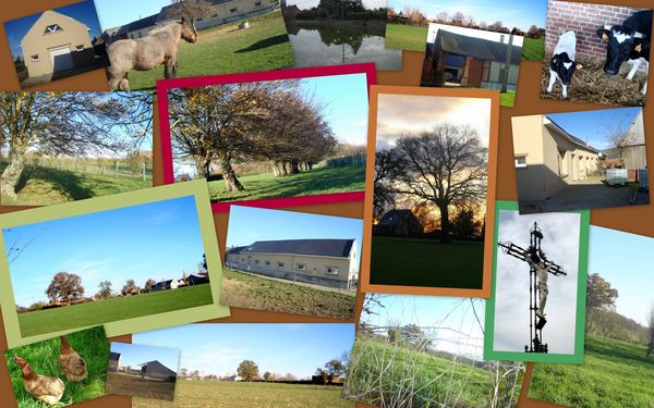 Vues extérieures de la ferme1-copie-1
