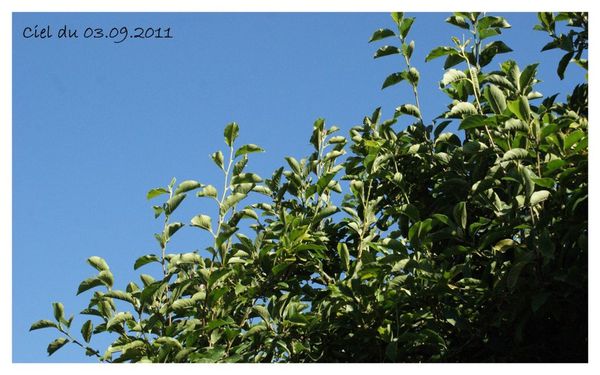 2011-08-3111.jpg