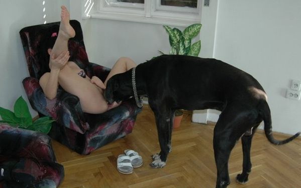 le sexe avec des animaux sexe webcam le sexe avec des animaux sexe webcam