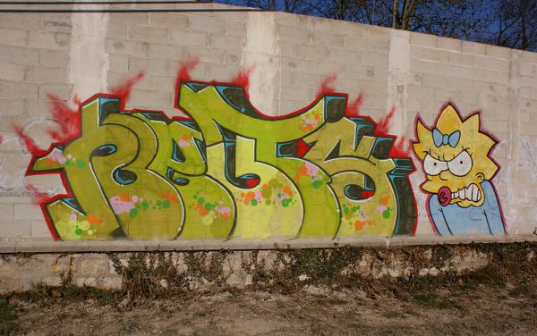 305 mur 77150 Lesigny