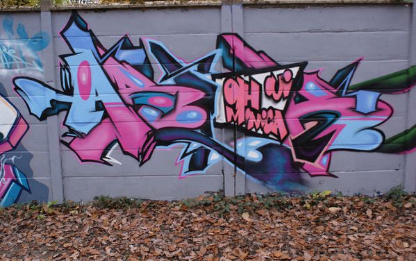 638 murs Draveil 91210
