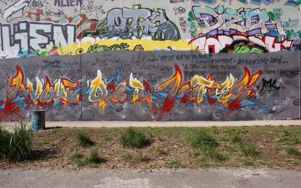 1859 parc des Cormailles 94200 Ivry sur seine