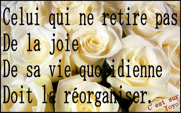 La-joie-2.jpg