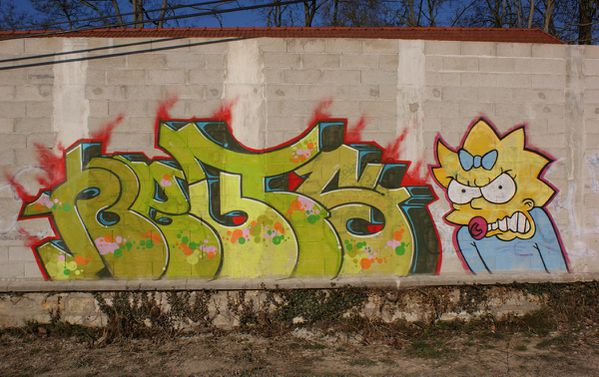 299 mur 77150 Lesigny