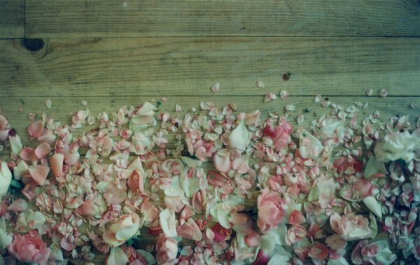 détail 4 chemin de roses-Expo CDC-1998 copie