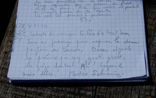 H44 - Rando Donon-Petit Donon etc ...161