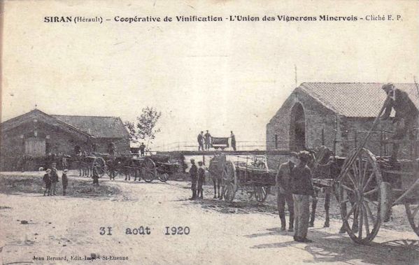 coope-Siran-0.jpg