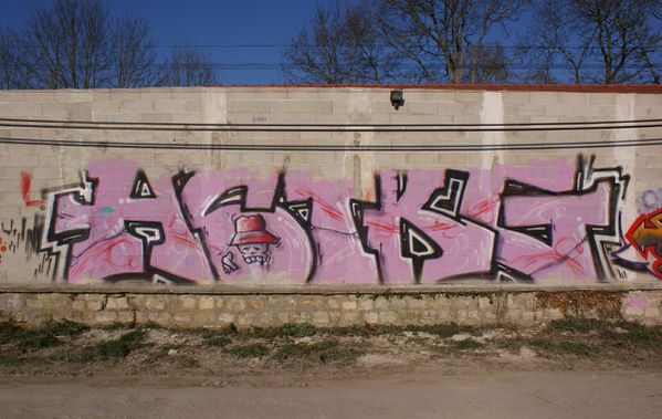 301 mur 77150 Lesigny
