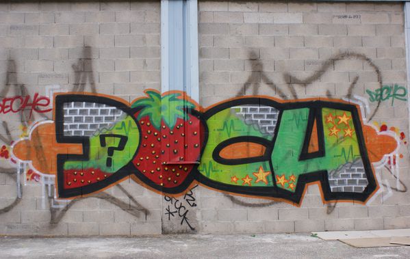 196 murs 93600 Asnières