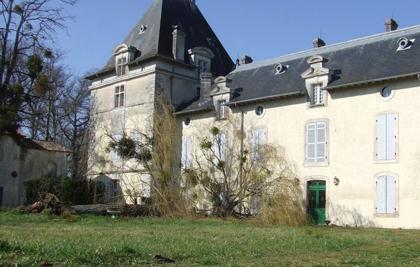 20100306 chateau-mung-tempete-saule 1155-bl