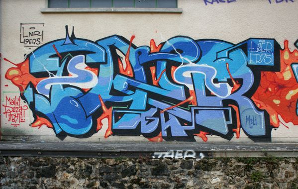 431 friche St Cyr l'Ecole 78210