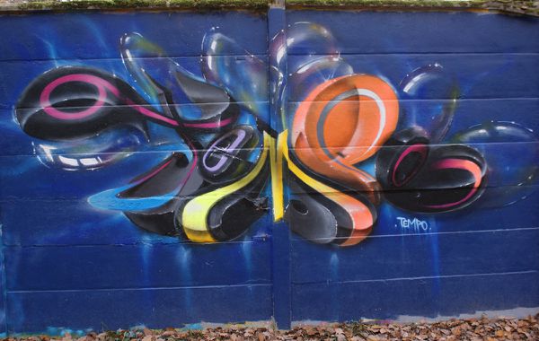 646 murs Draveil 91210
