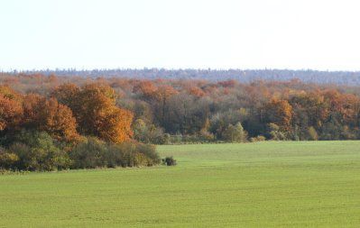 lay sous moncel automne1