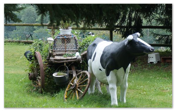 vache.JPG