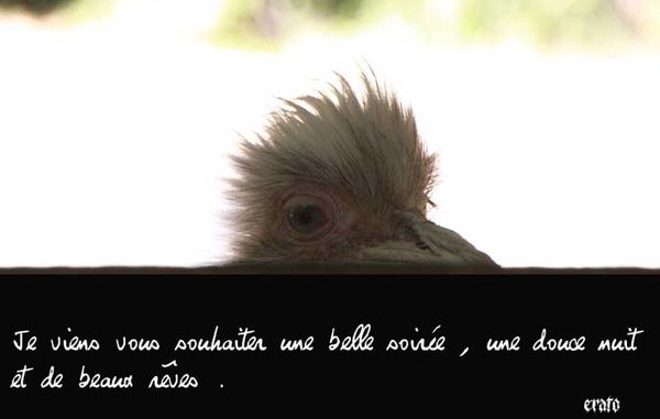 recueil-59-3287-a.jpg