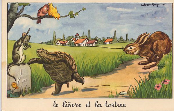 le-lievre-et-la-tortue.jpg