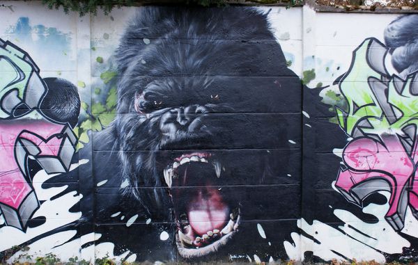 685 murs Draveil 91210