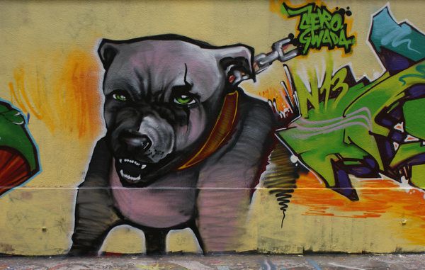 5843 rue des pyrenees 17 octobre 2011