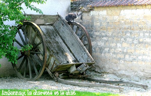 AMBONNAY, la charette et le chat ( Didier Simonnet )