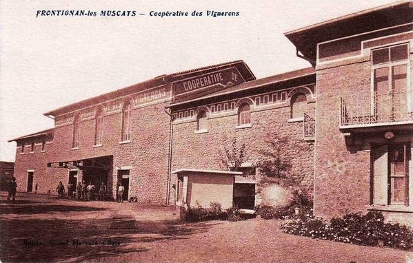 coope-Frontignan-000000-copie-1.jpg