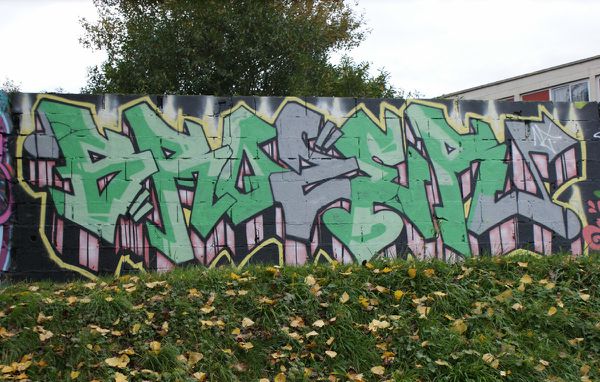 211 rue des marguerites 77420 Champs sur marne