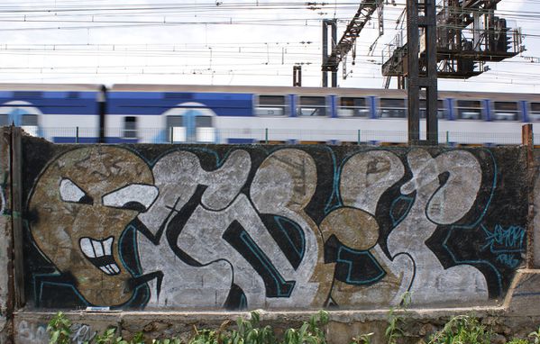 1672 friche 91260 Juvisy