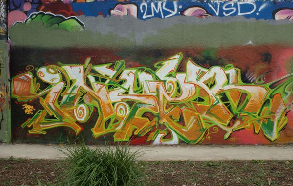 848 parc des Cormailles 94200 Ivry sur seine 14 mai 2011