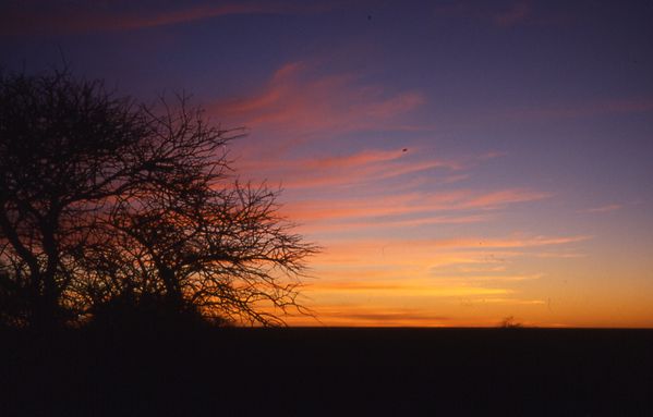 File0894.jpg