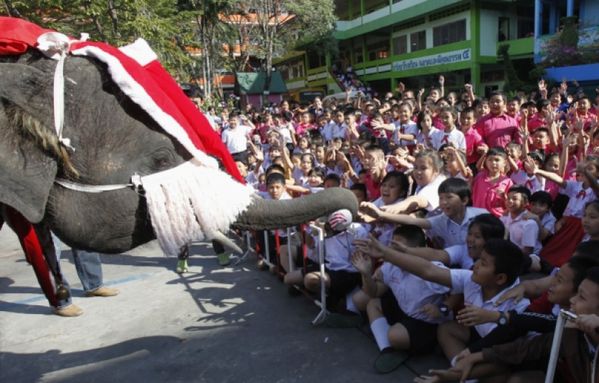 sem12decg-Z19-Renne-local-Thailande.jpg